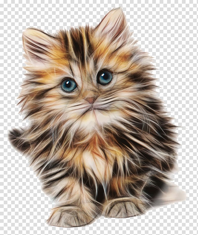 Cat Kitten Felidae Mouse Cuteness, Cat transparent background PNG clipart