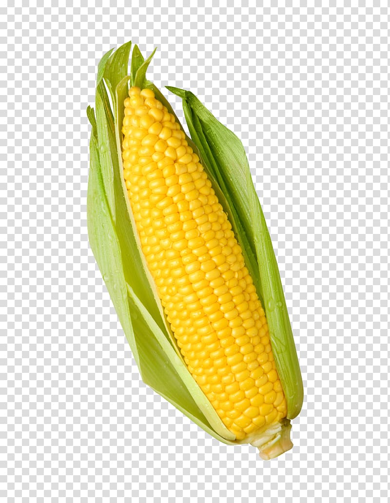 sweet corn 0, Popcorn Candy corn Sweet corn Corn kernel Maize, corn transparent background PNG clipart