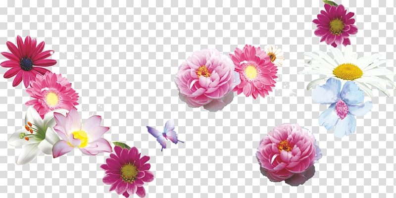 Flower Chrysanthemum Floral design Pink, Chamomile transparent background PNG clipart