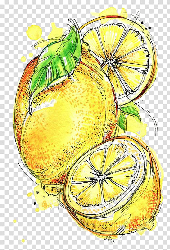 Lemon-lime drink Cocktail, lemon transparent background PNG clipart