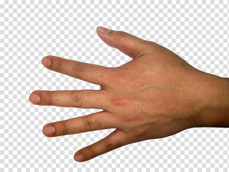 Hands , hand free transparent background PNG clipart