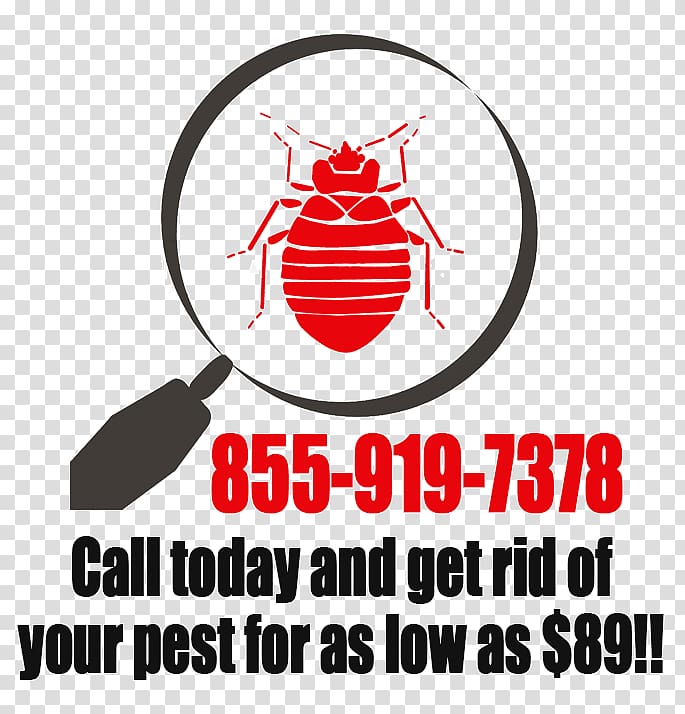 Bed bug Pest Control Anaheim Marcela R. Font, Lac, others transparent background PNG clipart