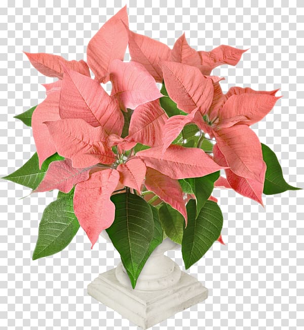 Floral design Flower Red, Pink leaves transparent background PNG clipart