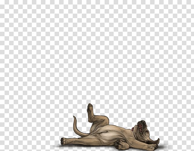 Dog Lion Macropodidae Mammal Agility, Dog transparent background PNG clipart