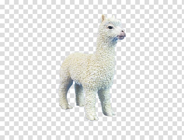 Alpaca Llama Fur Terrestrial animal, alpaca spitting transparent background PNG clipart