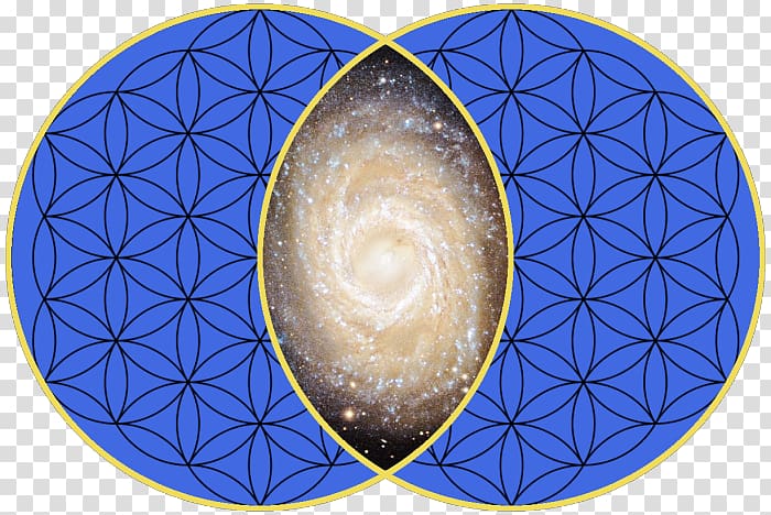 Vesica piscis Sacred geometry Symmetry Urinary bladder, made for each other transparent background PNG clipart
