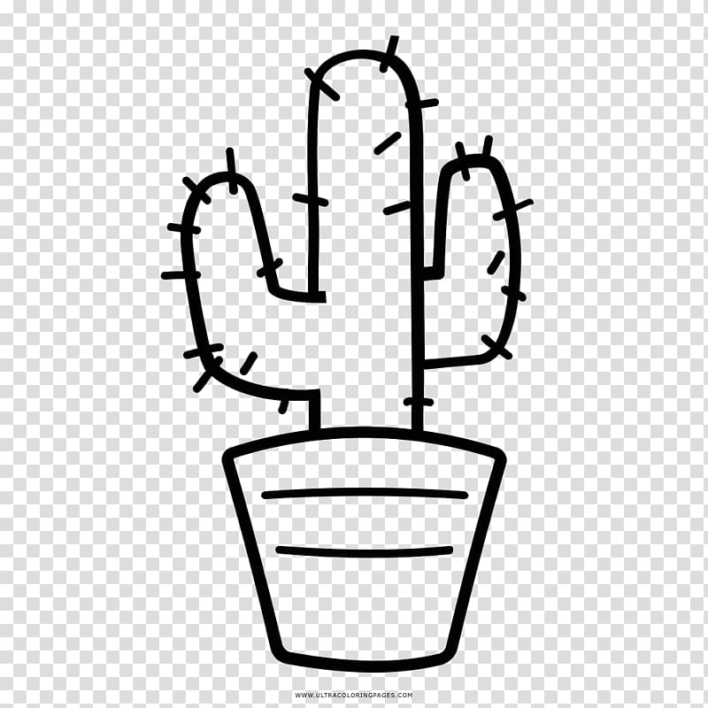 Coloring book Cactaceae Drawing Doodle, others transparent background PNG clipart