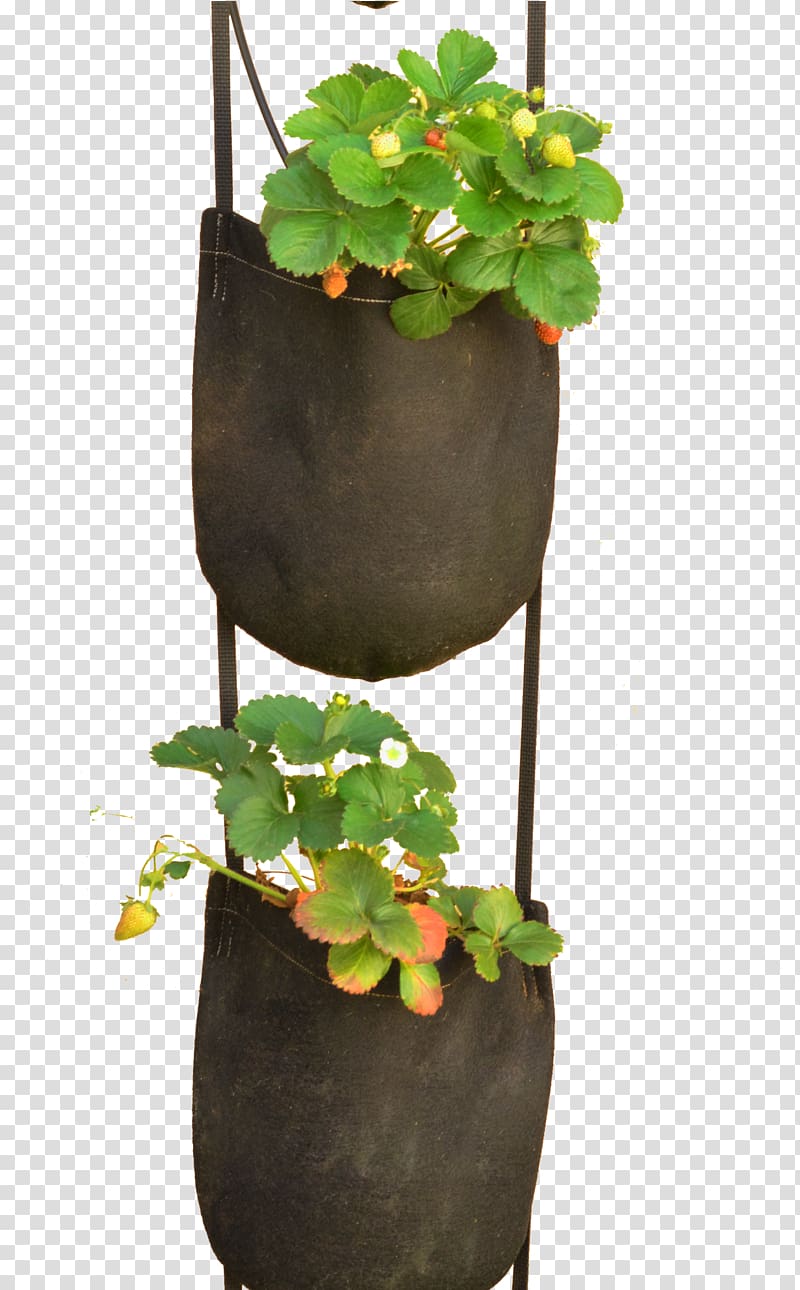 Plastic bag Plant Flowerpot GeoPot, potted plant transparent background PNG clipart