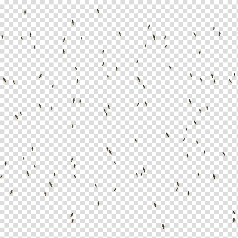 Line Point Angle Flock Font, flies transparent background PNG clipart