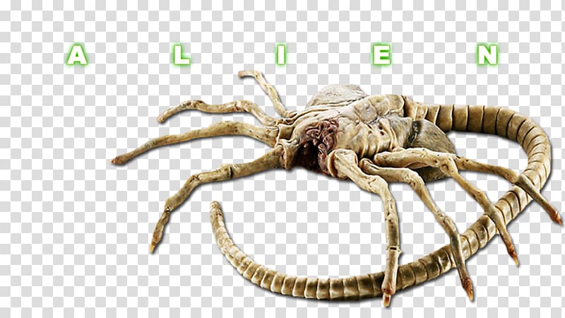 Alien Youtube Extraterrestrial Life Face Hugger Predator Alien