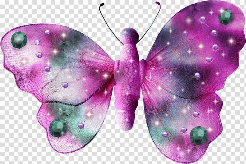 Butterfly Papillon dog Purple Centerblog White, butterfly transparent background PNG clipart