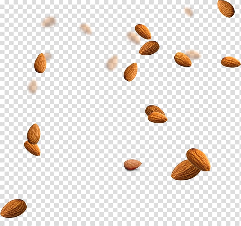 almond nuts illustration, Almond Nucule Icon, almond transparent background PNG clipart