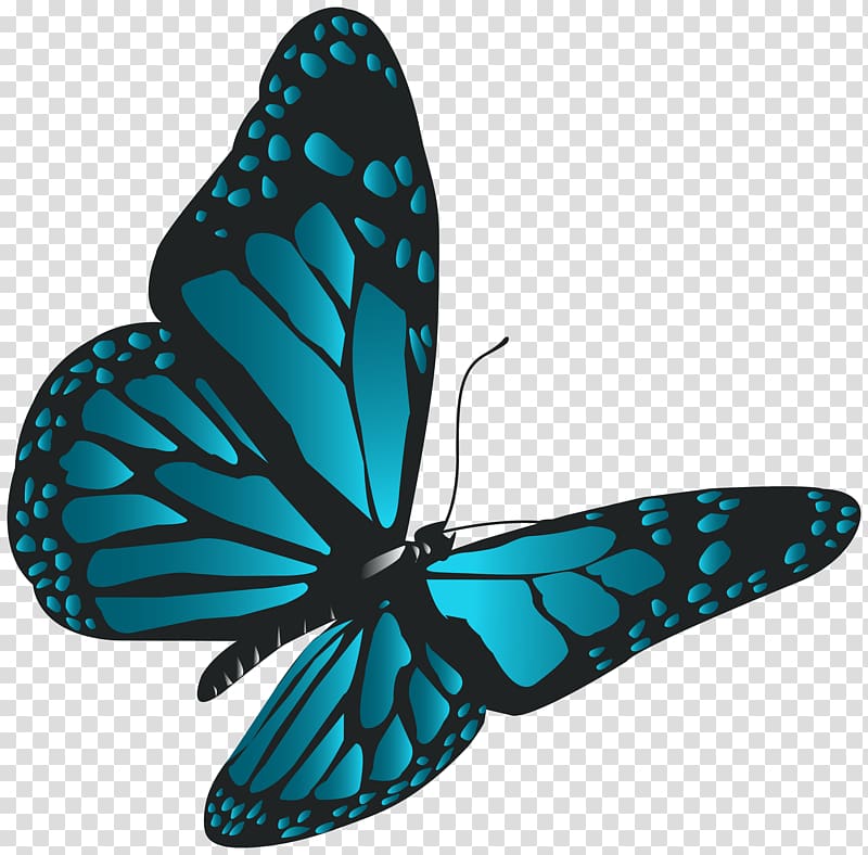 Monarch butterfly , Blue Butterfly transparent background PNG clipart