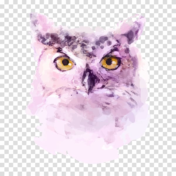 hand painted watercolor owl portrait transparent background PNG clipart