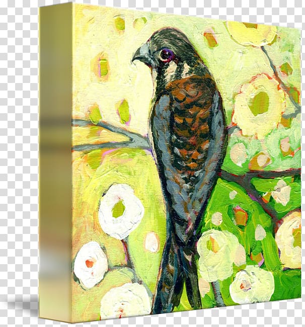 Watercolor painting Art American kestrel, painting transparent background PNG clipart