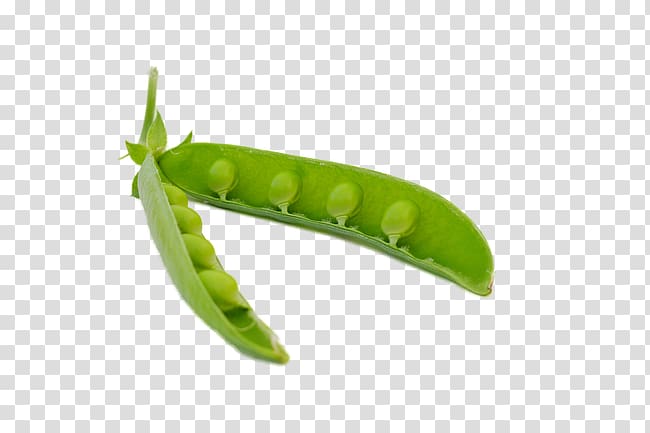 Snow pea Icon, pea transparent background PNG clipart