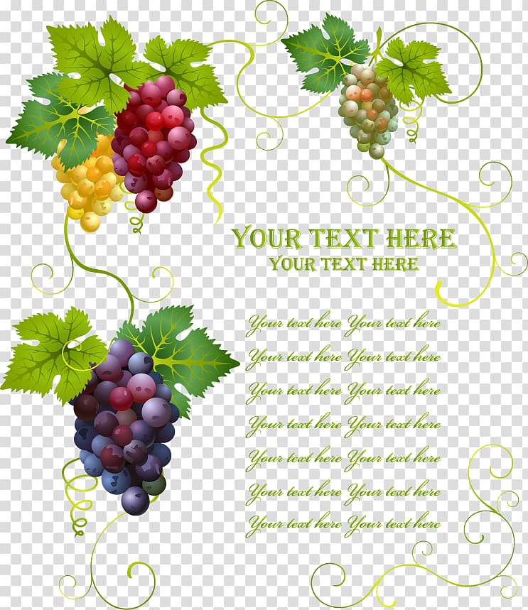 Wine Common Grape Vine Grape leaves, three-dimensional decorative grape transparent background PNG clipart