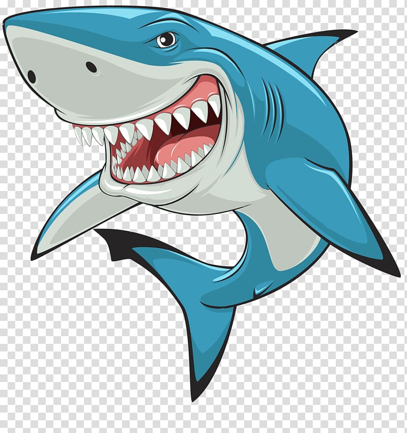 Great white shark , shark transparent background PNG clipart