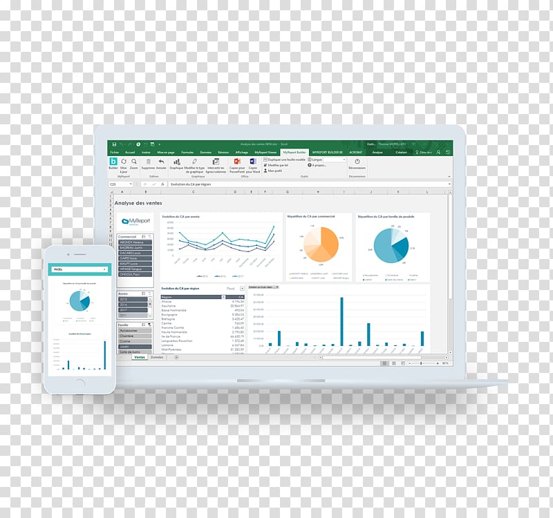 Computer Software Report One Microsoft Excel Business reporting Pilotage, standardization transparent background PNG clipart
