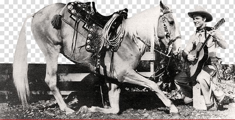 Horse Trigger Actor Roy Rogers Restaurants Western, horse western transparent background PNG clipart