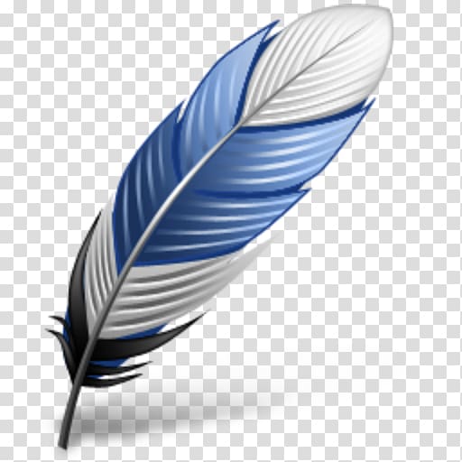 Eagle feather law Bird Flight feather, feather transparent background PNG clipart