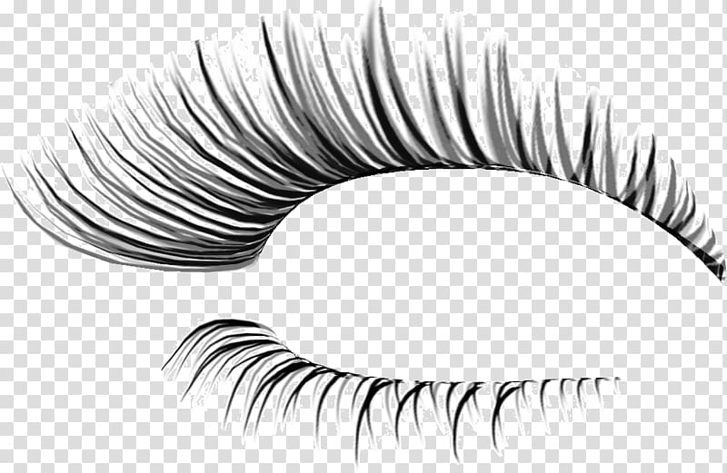 Eyelash extensions Cosmetics , Thick eyelashes thin holiday transparent background PNG clipart