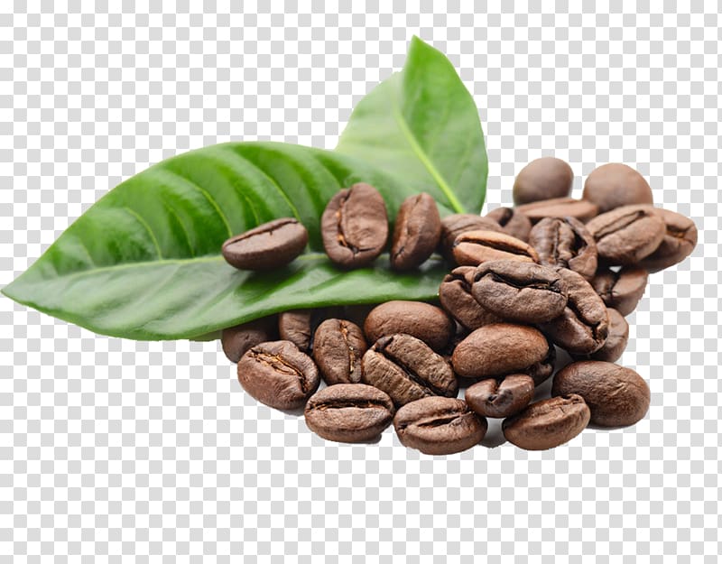 coffee bean lot illustration, Arabica coffee Espresso Kona coffee Coffee bean, Coffee beans element transparent background PNG clipart