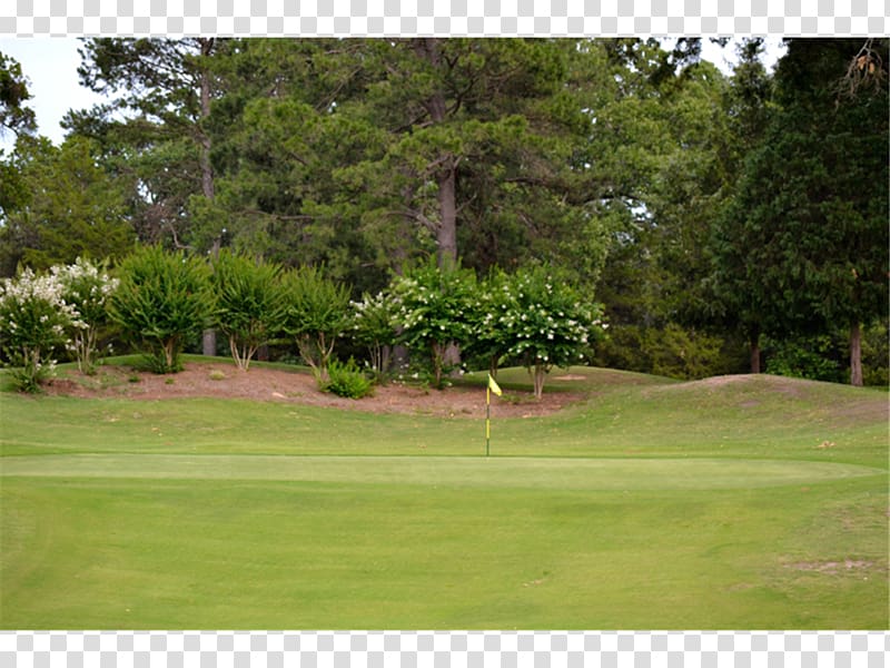 Loyalist Lennox and Addington 7 Property Lawn Golf course, Vista Restaurant At Van Patten Golf Club transparent background PNG clipart