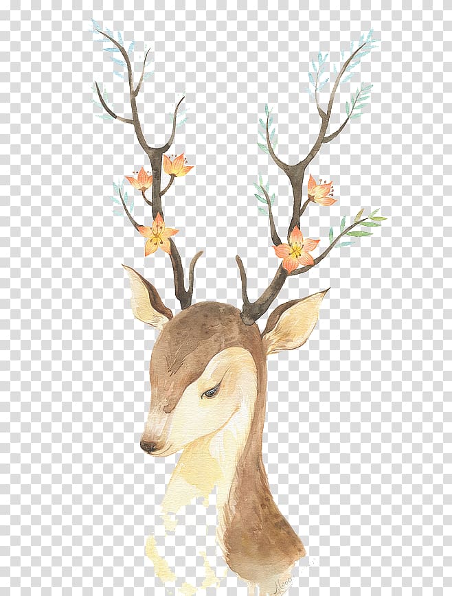 cartoon sika deer transparent background PNG clipart