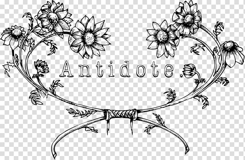 Antidote Apothecary + Tea Bar Floral design Art Alternative Health Services ANTIDOTE STORE, burst square transparent background PNG clipart