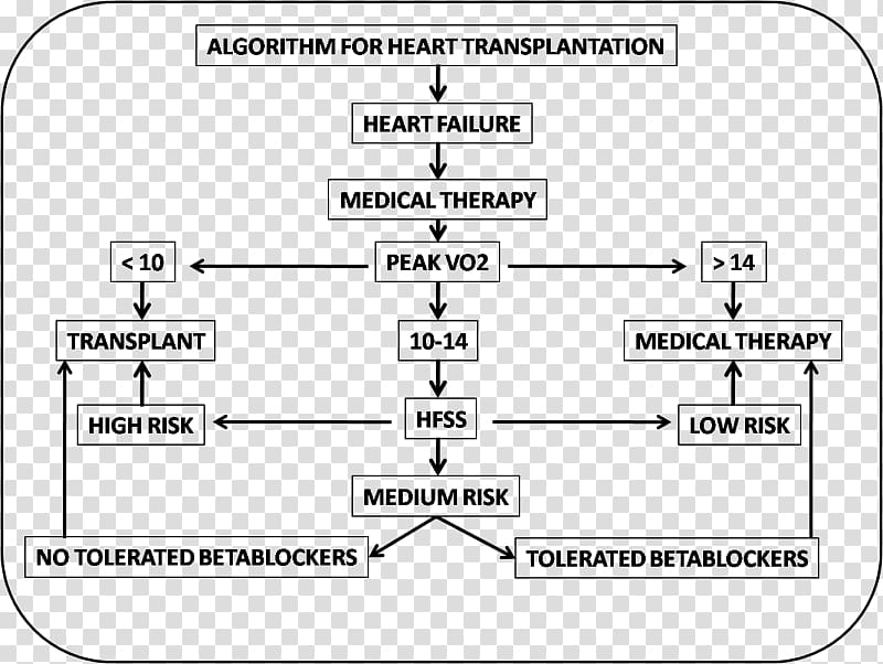 Heart transplantation Heart Ailment Organ transplantation VO2 max, heart transparent background PNG clipart