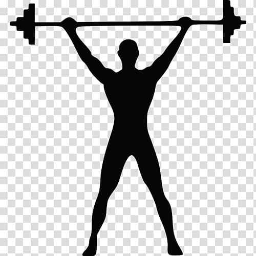 Olympic weightlifting Barbell Weight training Dumbbell, barbell transparent background PNG clipart