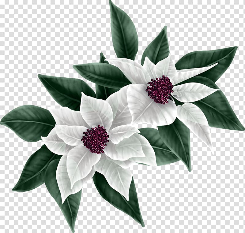 Cut flowers Flowering plant Common lilac, express train kiss transparent background PNG clipart