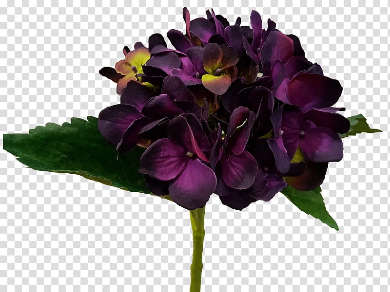 Cut flowers Hydrangea Eggplant Violet, artificial flowers mala transparent background PNG clipart