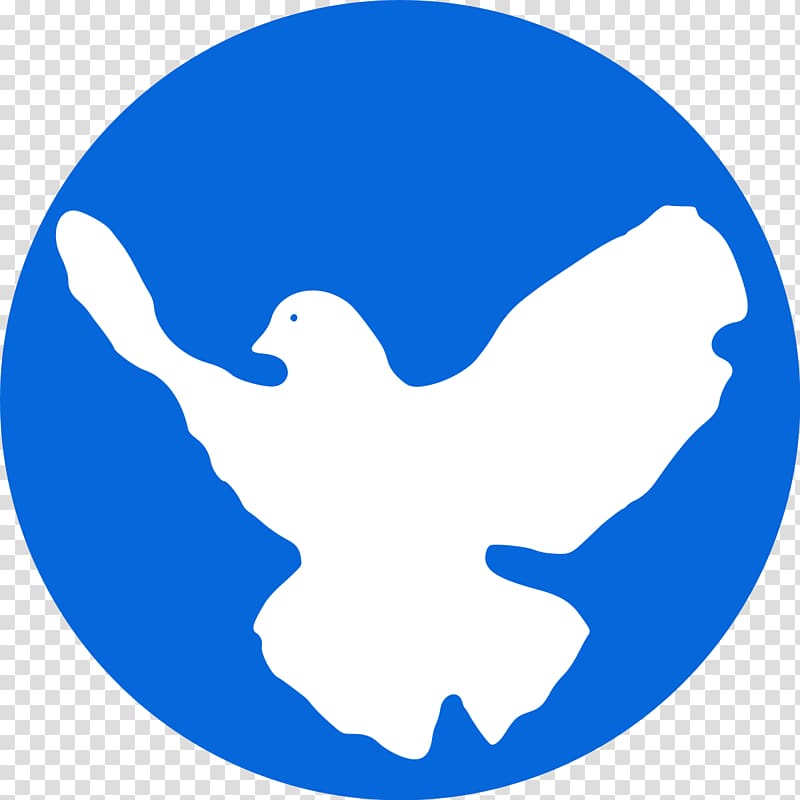 Columbidae Doves as symbols Peace symbols Drawing , vektor transparent background PNG clipart