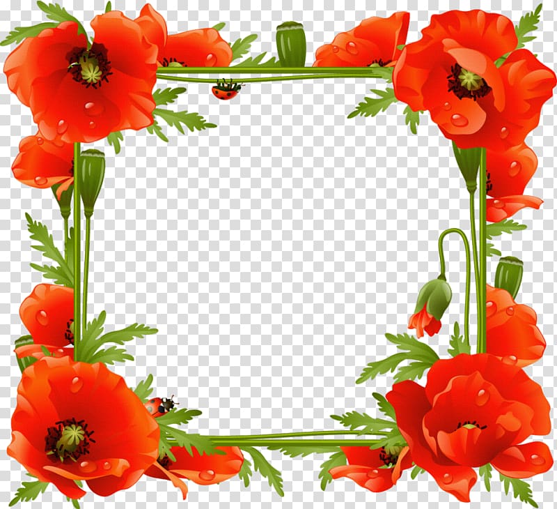 Common poppy Frames Flower, flower frame transparent background PNG clipart