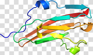 Line Point , line transparent background PNG clipart thumbnail