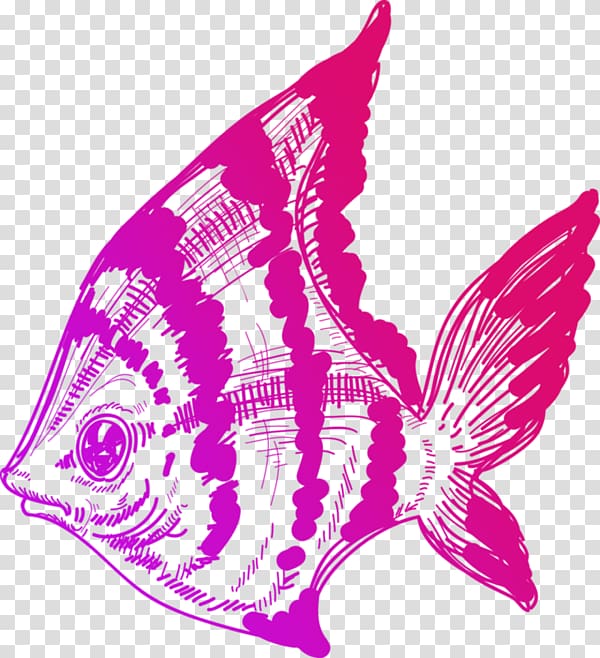 Drawing Line art Illustration, Color painted ocean fish transparent background PNG clipart