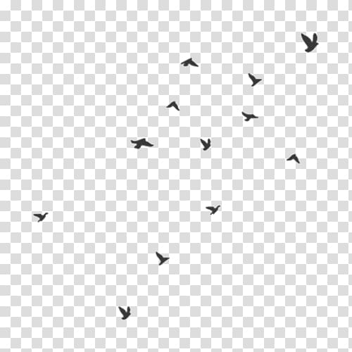 Bird flight Flock Domestic pigeon Swallow, villagers transparent background PNG clipart