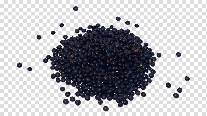 Seed Lentil Fabada asturiana Lenteja pardina Common Bean, Beluga Caviar transparent background PNG clipart