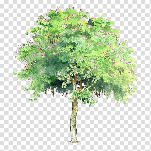 trees trees element transparent background PNG clipart