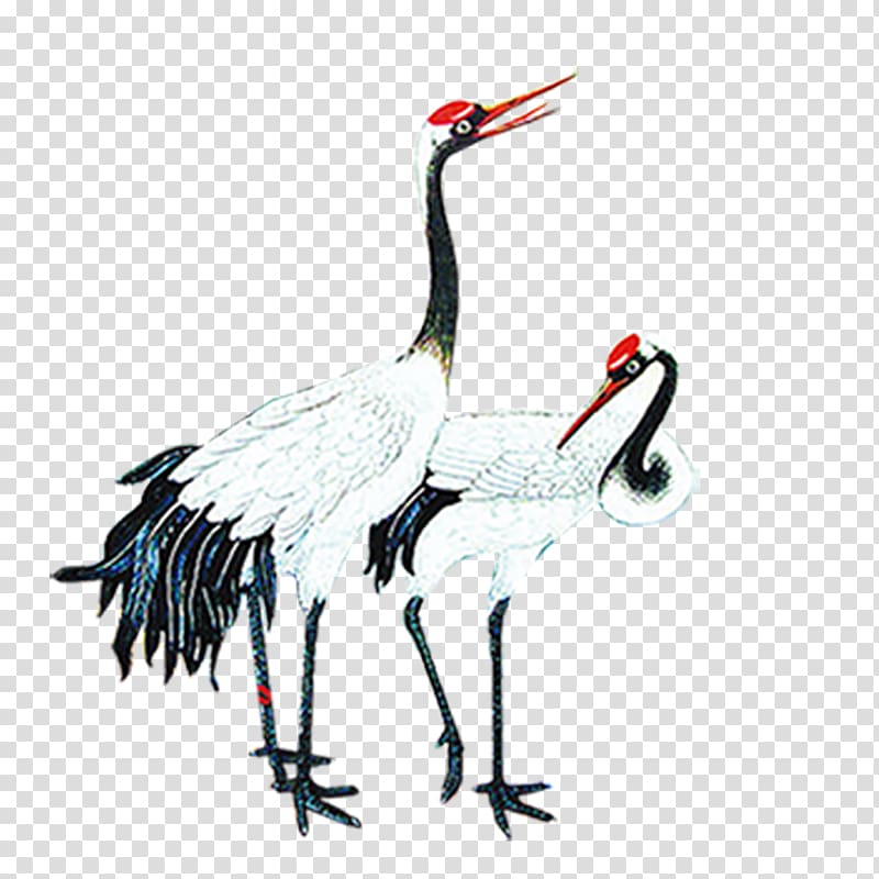 red-crowned crane transparent background PNG clipart