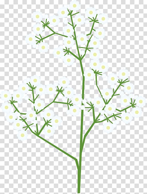 Twig Cut flowers Plant stem Flowering plant, flower illust transparent background PNG clipart