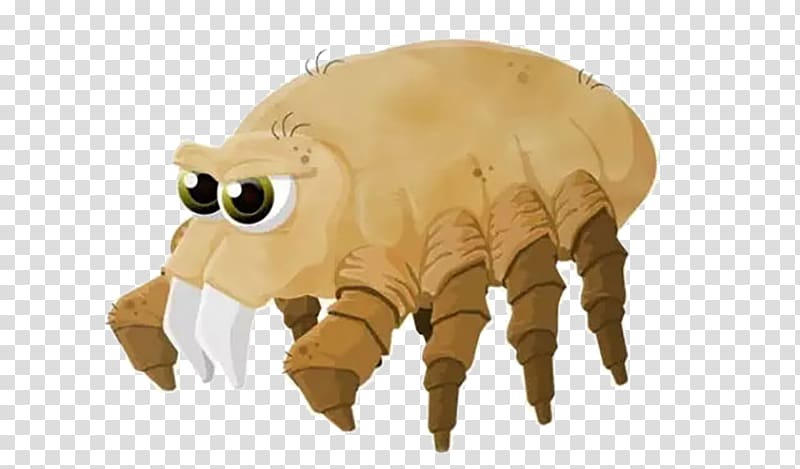 House dust mites Acari Allergy, Insect mites transparent background PNG clipart