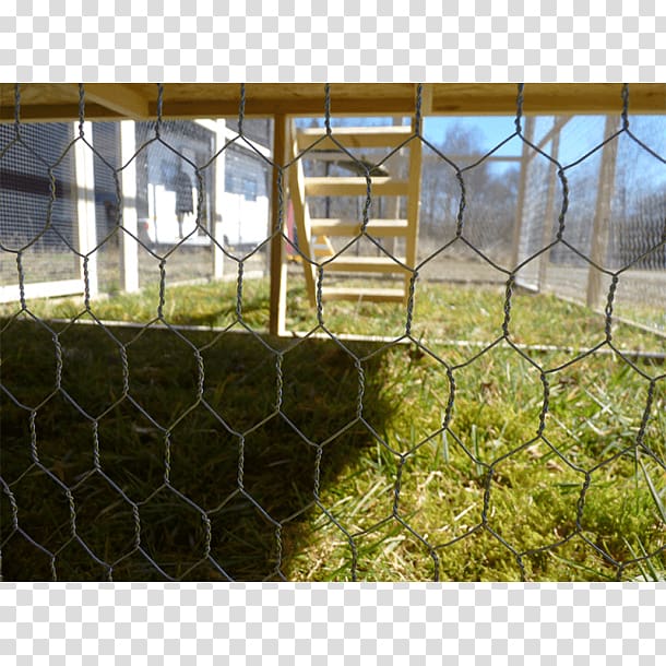 Chicken coop Hönsgård House Fence, chicken transparent background PNG clipart