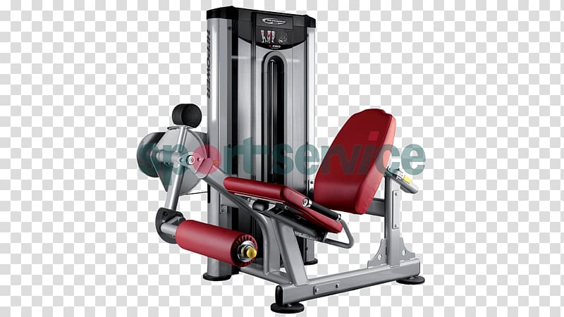 Leg curl Leg extension Strength training Bench Hyperextension, others transparent background PNG clipart