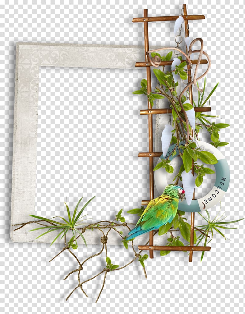 , Parrot ladder block transparent background PNG clipart