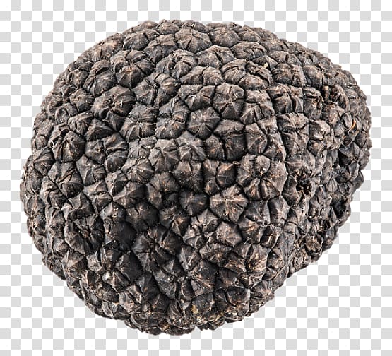 Wool, black Truffle transparent background PNG clipart
