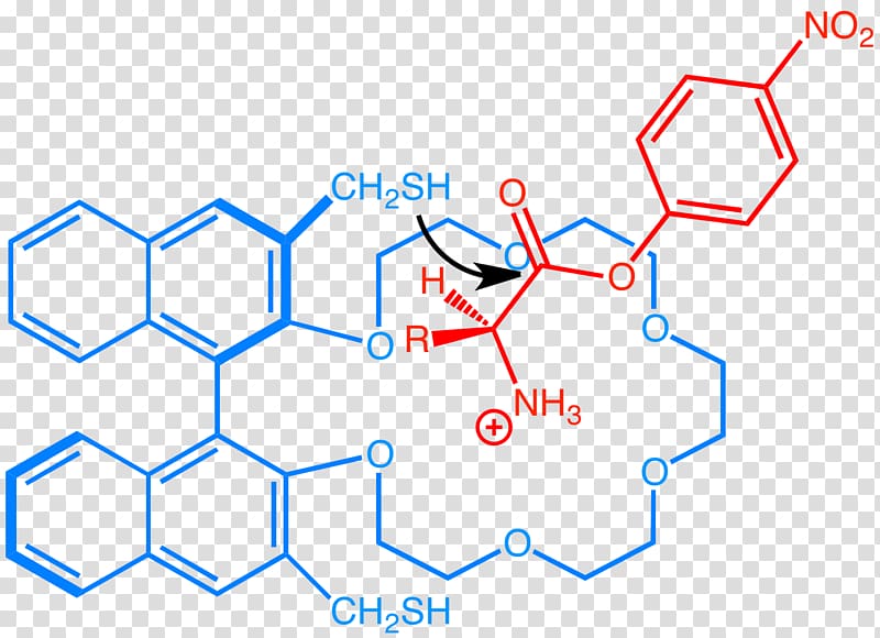 Supramolecular catalysis Supramolecular chemistry Crown ether Organic chemistry, cram transparent background PNG clipart