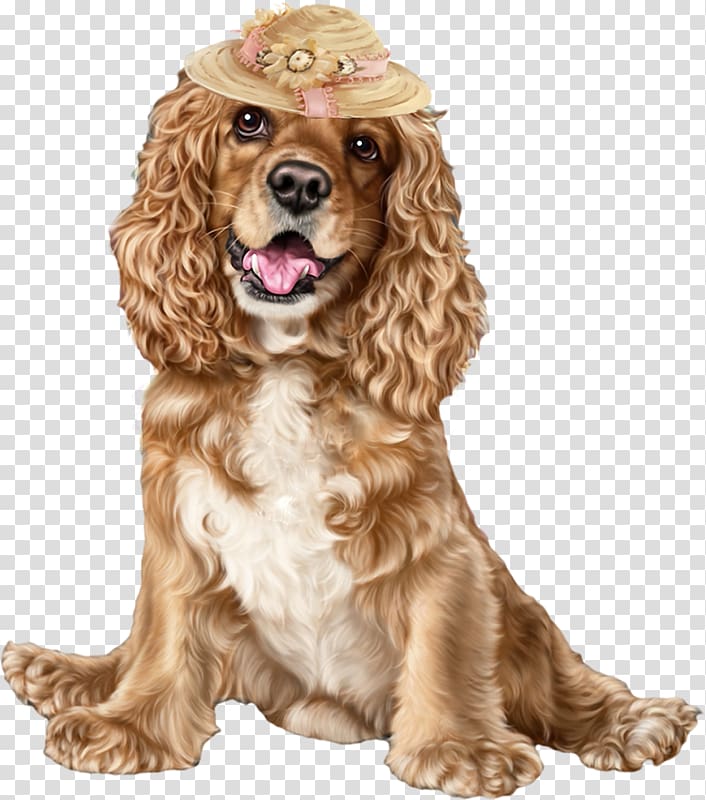 English Cocker Spaniel American Cocker Spaniel Puppy Field Spaniel, puppy transparent background PNG clipart